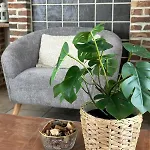Sea Soon Holiday home De Haan