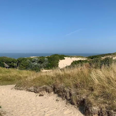 Sea Soon De Haan