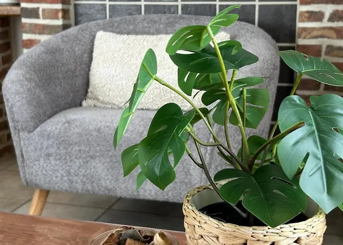 Sea Soon Holiday home De Haan